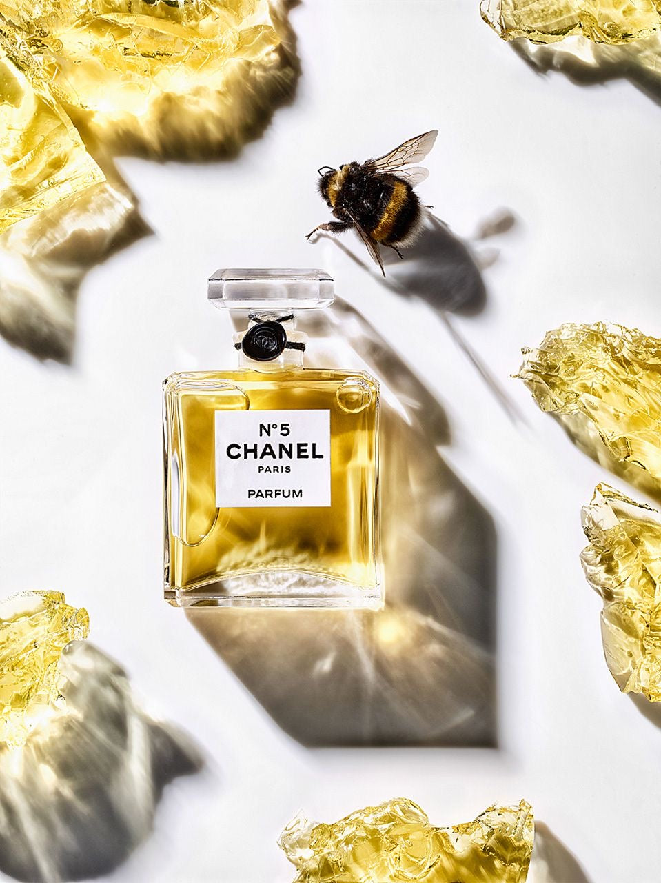 Chanel N°5 Eau De Parfum
(100ml)