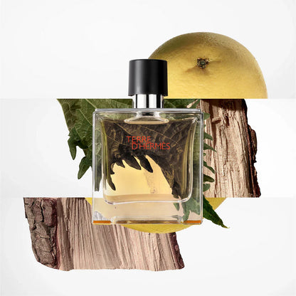 Hermes Terre D'Hermes Eau De Toilette